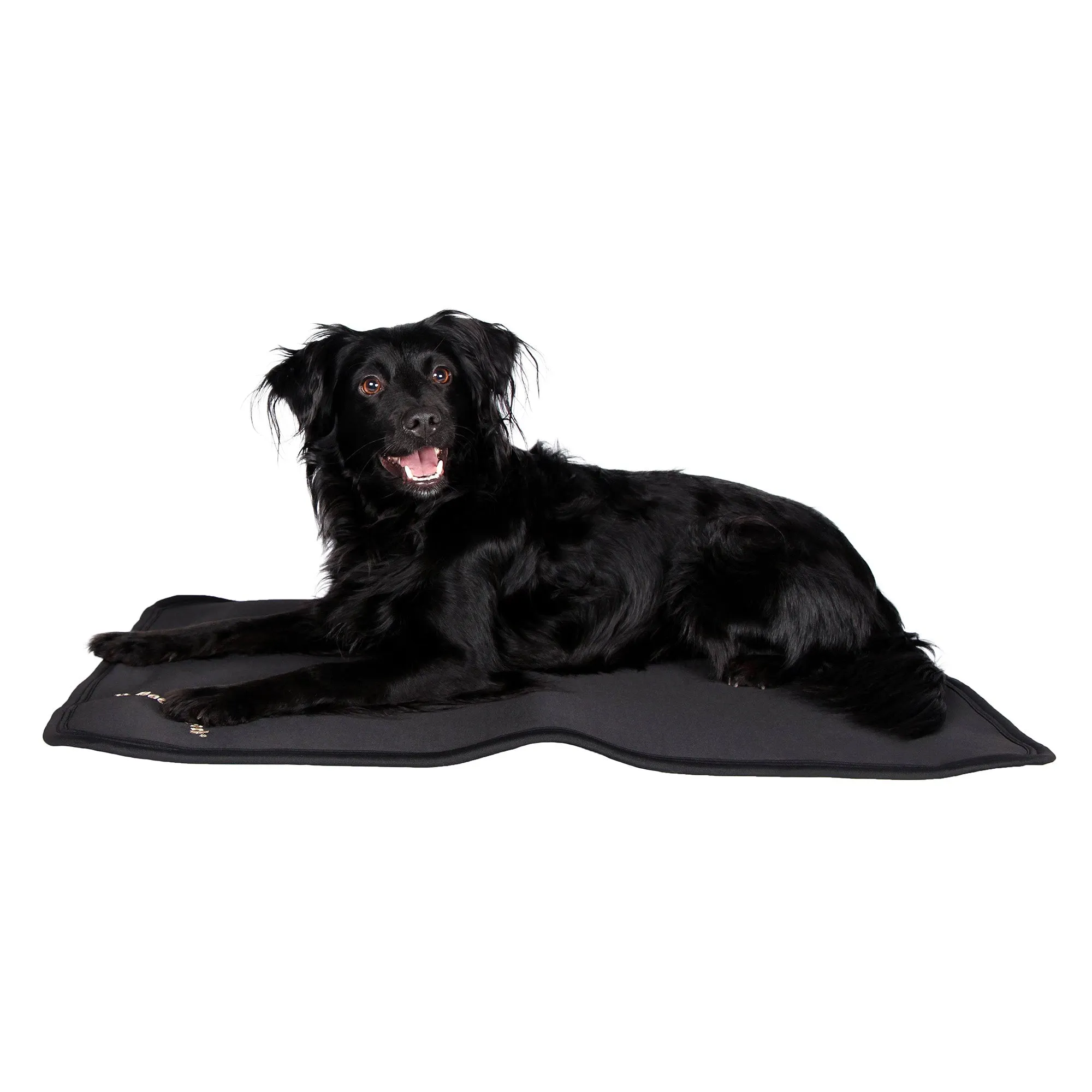 Dog Bed Liner